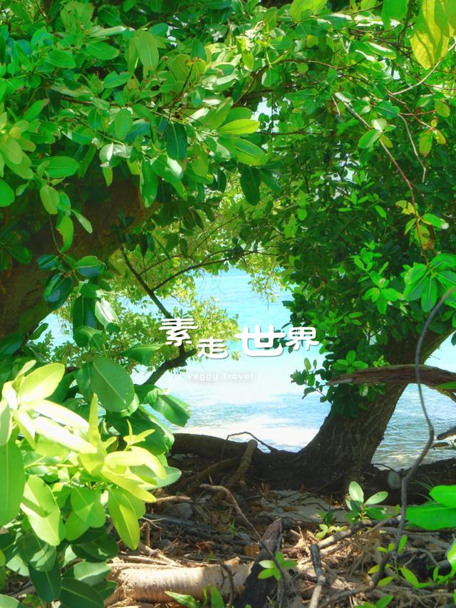 这个即将沉没的国家因专家一句话燃起了希望事实怎样自己去看