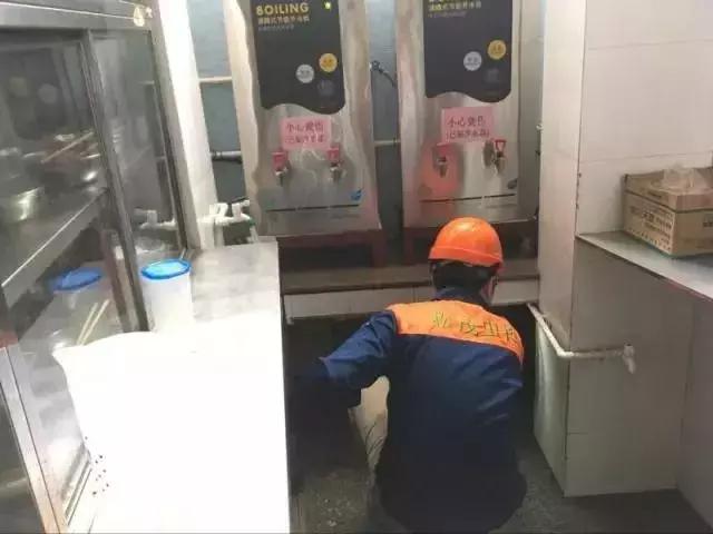 除四害消灭老鼠,治理四害老鼠