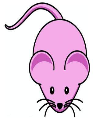 宠物小精灵简笔画咚咚鼠,朝花夕拾狗猫鼠图片简笔画