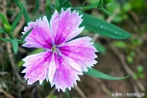 郑州人真正的后花园,郑州人少环境好的地方