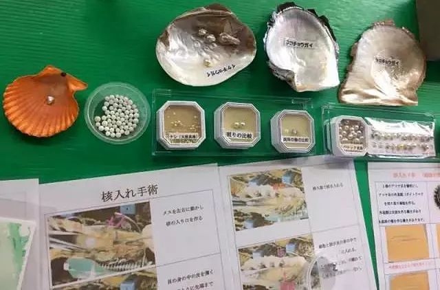 akoya珍珠100%纯天然正品,akoya珍珠100%纯天然