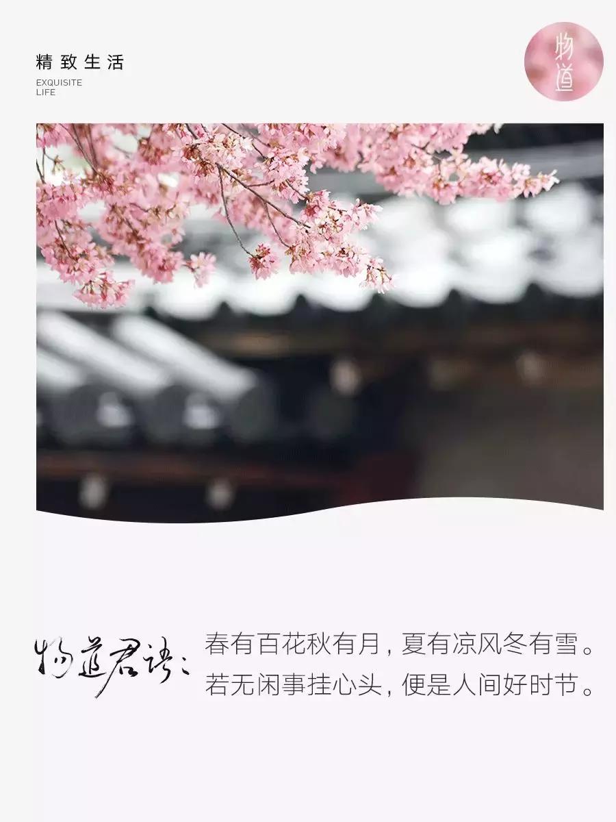 拥有季节感,是过上精致生活的第一步