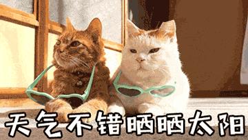 京东商家卖假货京东有责任吗,京东自营是否误导消费者