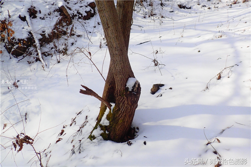 本溪关门山徒步攻略,边走边拍风景视频素材