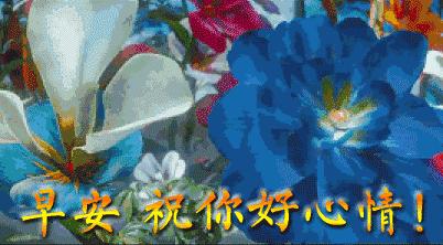 早上好的祝福语大全动图,早上好问候祝福语大全动态图