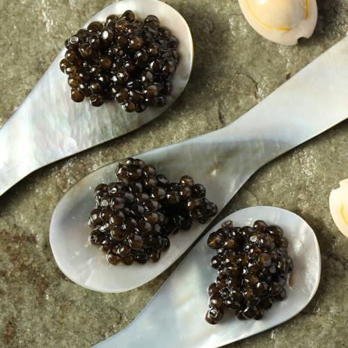 最顶级六种鱼子酱,正宗鱼子酱有哪几种