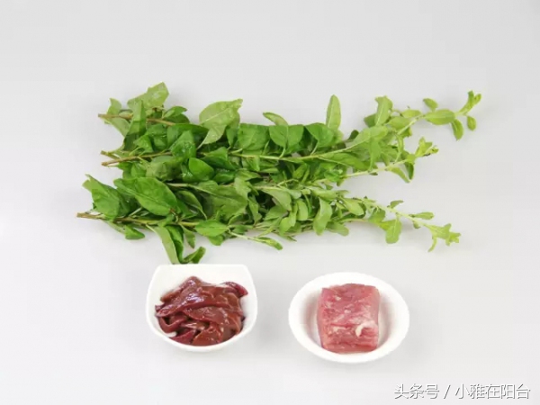 阳台种一棵桑葚,枸杞怎么种小盆栽最佳