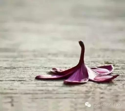 天下雨了可以打伞吗,天下雨了能撑伞吗