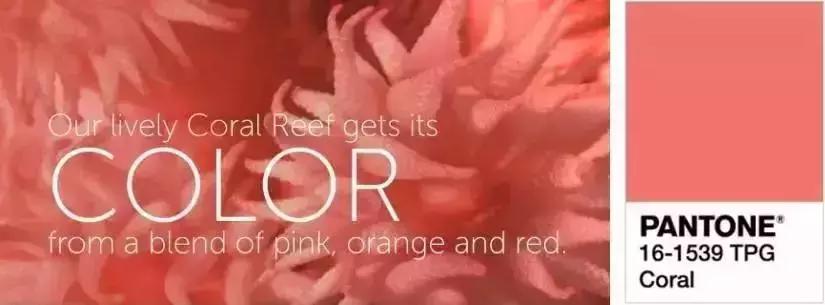 黄皮常用口红有哪些牌子,黄皮适合的口红大牌淡色图片