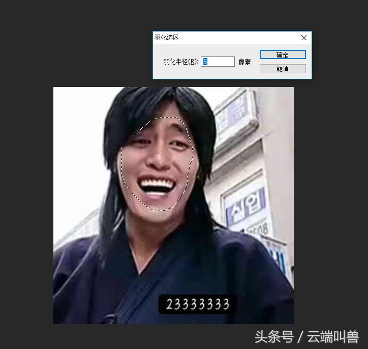 （崔成国）金馆长熊猫微信表情包制作流程，操作简单适合PS初学者