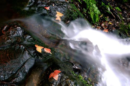 九溪十八涧小九寨,杭州九溪十八涧一日游