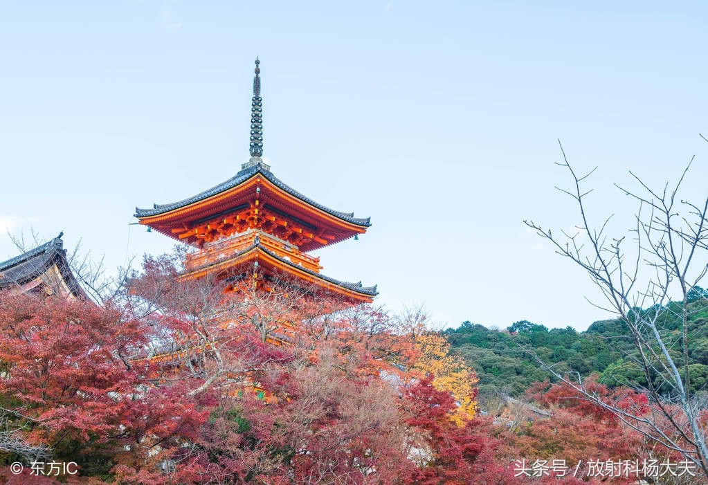 中国日本医院的真实情况,日本正规医院有几家