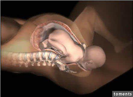 震撼分娩瞬间,分娩过程震撼