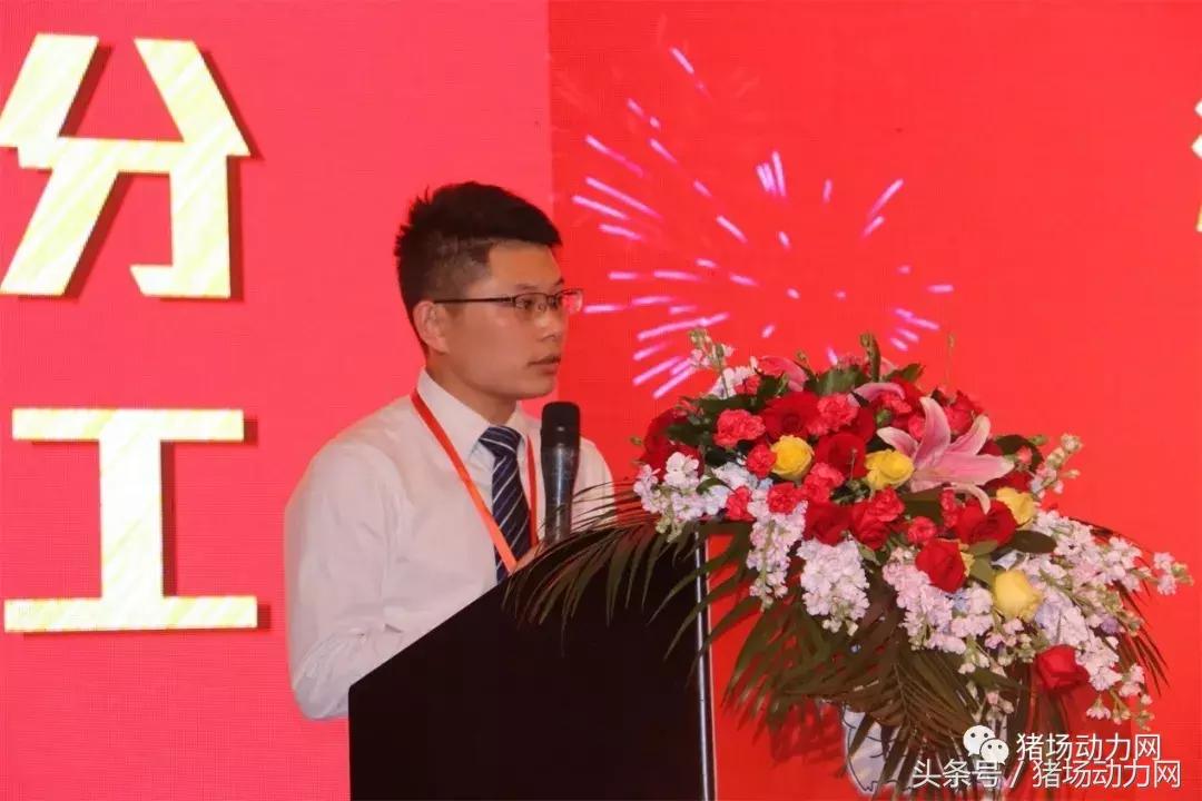 双胞胎饲料产能,双胞胎饲料销量