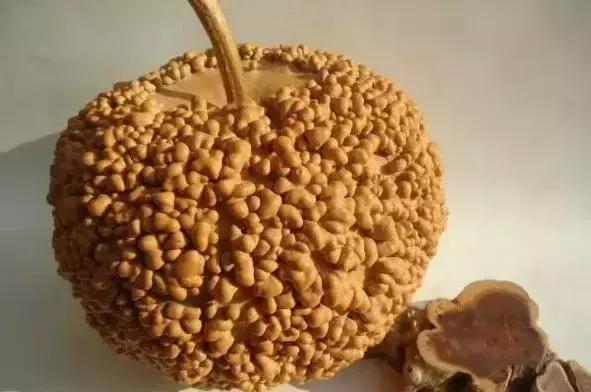 全国各地都有什么文玩,世界各地文玩