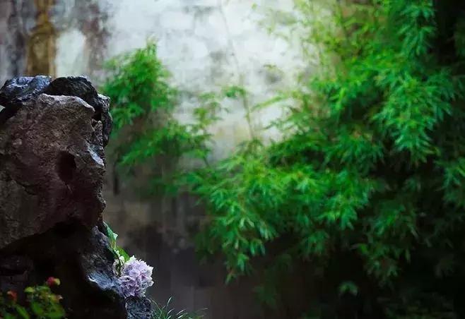 古代家风家训的小故事,古代家规家训家风