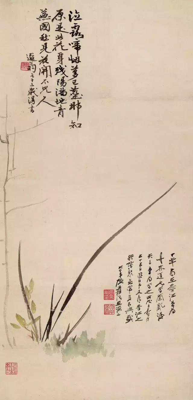 鉴赏历代名家画兰花30幅中国画,历代名家兰花作品