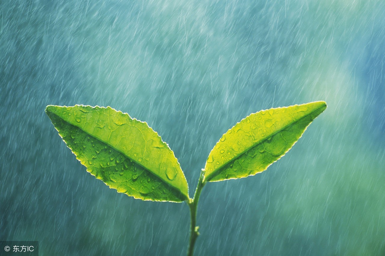 日语中那些与“雨”有关的词汇小结