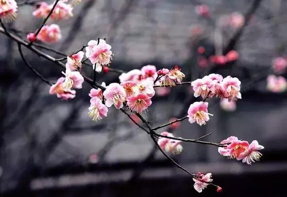 北京小央美国学未来馆,为爱前行,全国开放加盟~