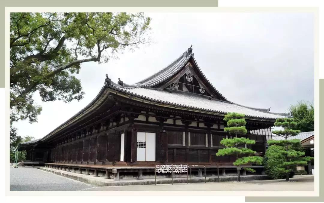 娜扎代言的手表,古力娜扎同款手表