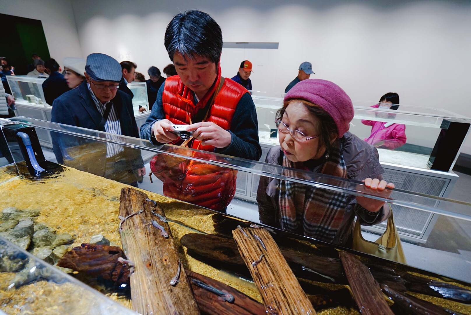 日本大阪之旅感受,日本自由行大阪游记