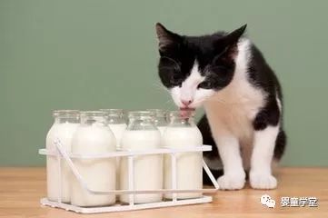 受潮奶粉应该冷藏还是冷冻,受潮的奶粉怎么用