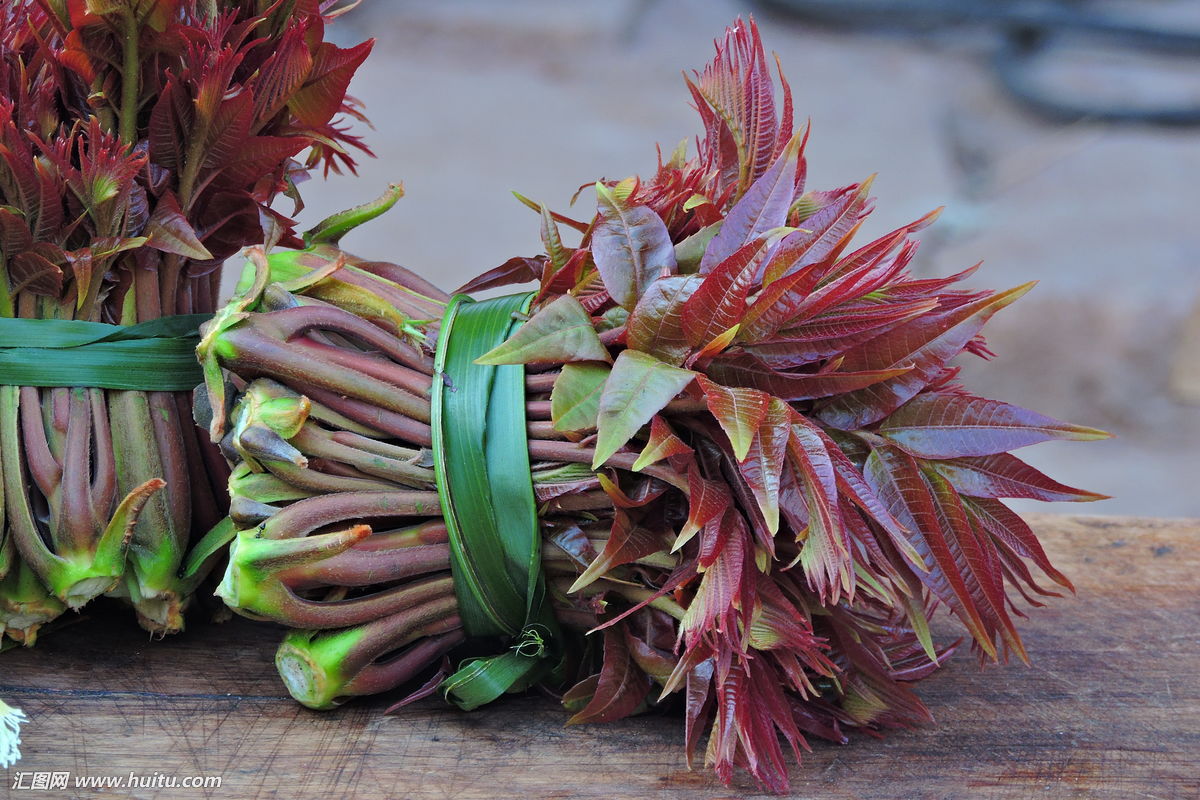 开春的野菜有哪些,开春挖的野菜
