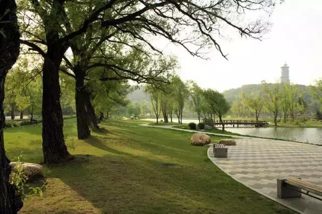 春暖花开微风吹来,春暖花开吹来阵阵花香