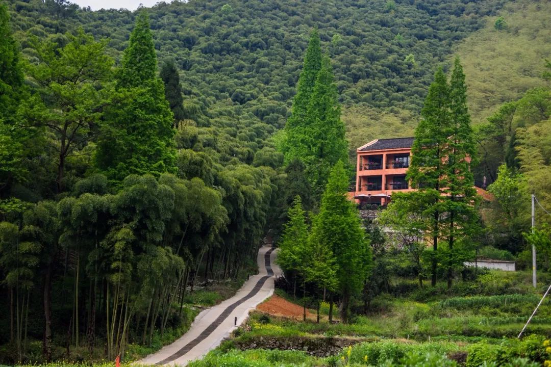 当东方遇上西方,当东方遇见西方戛纳