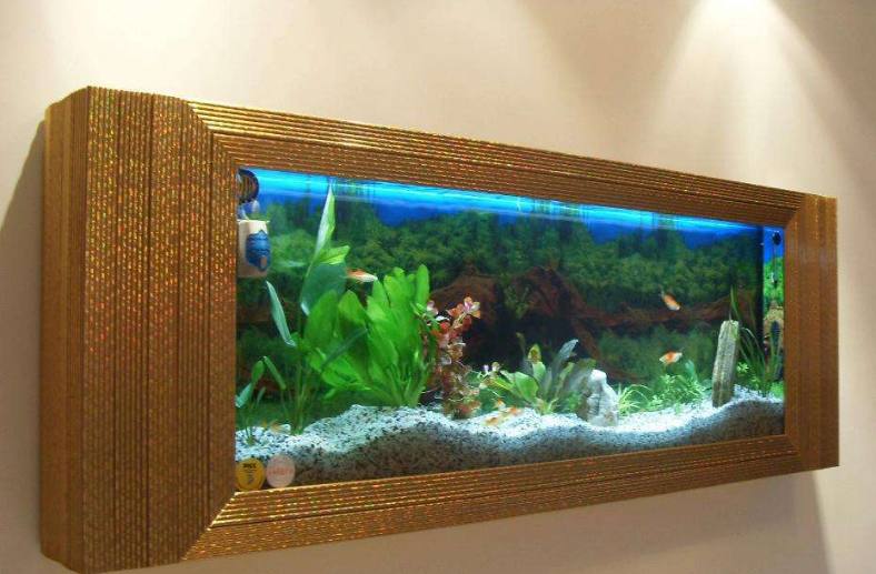 鱼缸摆放位置有没有什么讲究图片,鱼缸摆放的位置有哪些讲究