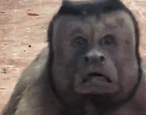 三分钟法治新闻全知道,三分钟法治全知道