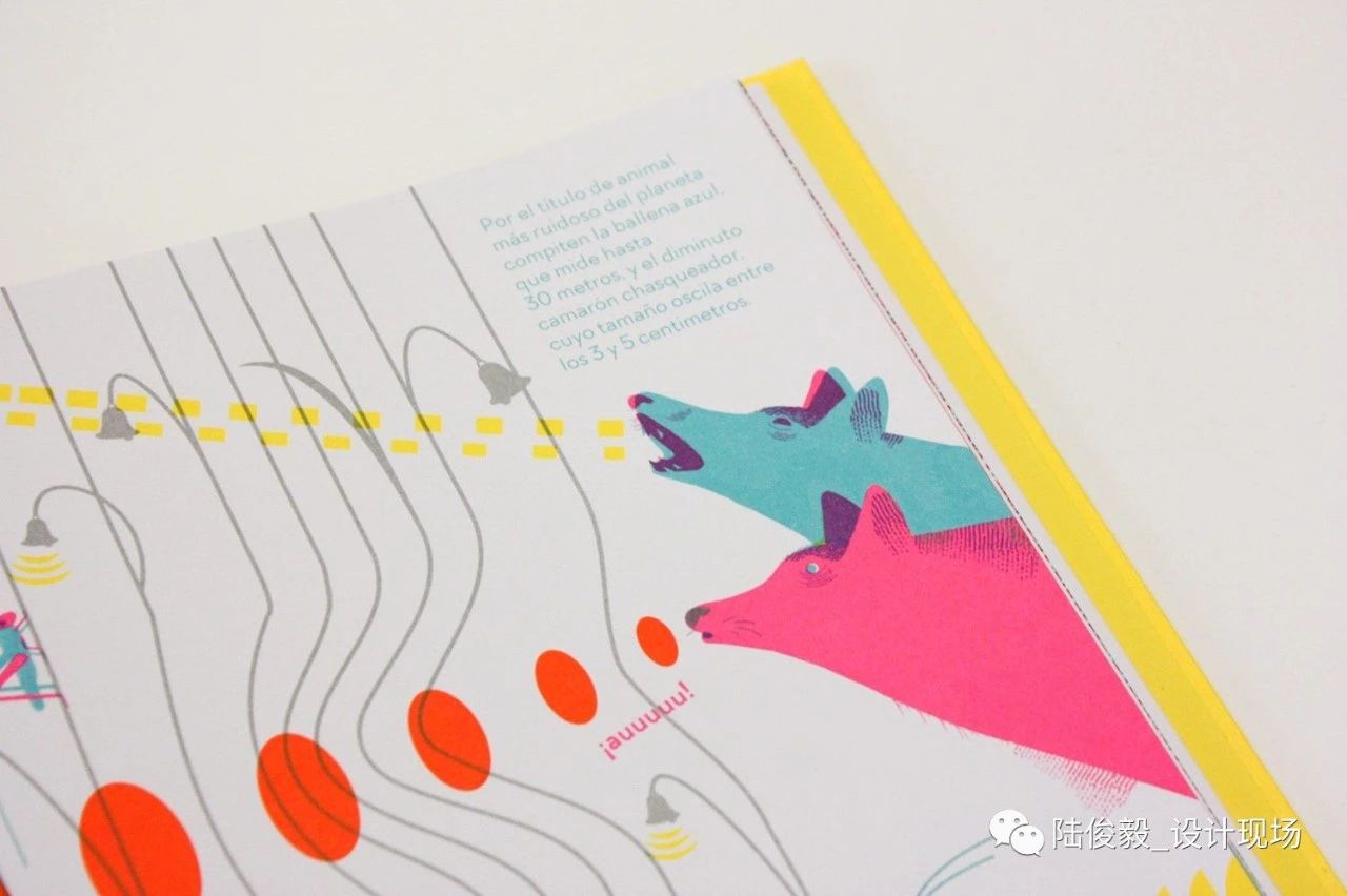 国际获奖26本绘本,2019年最佳绘本