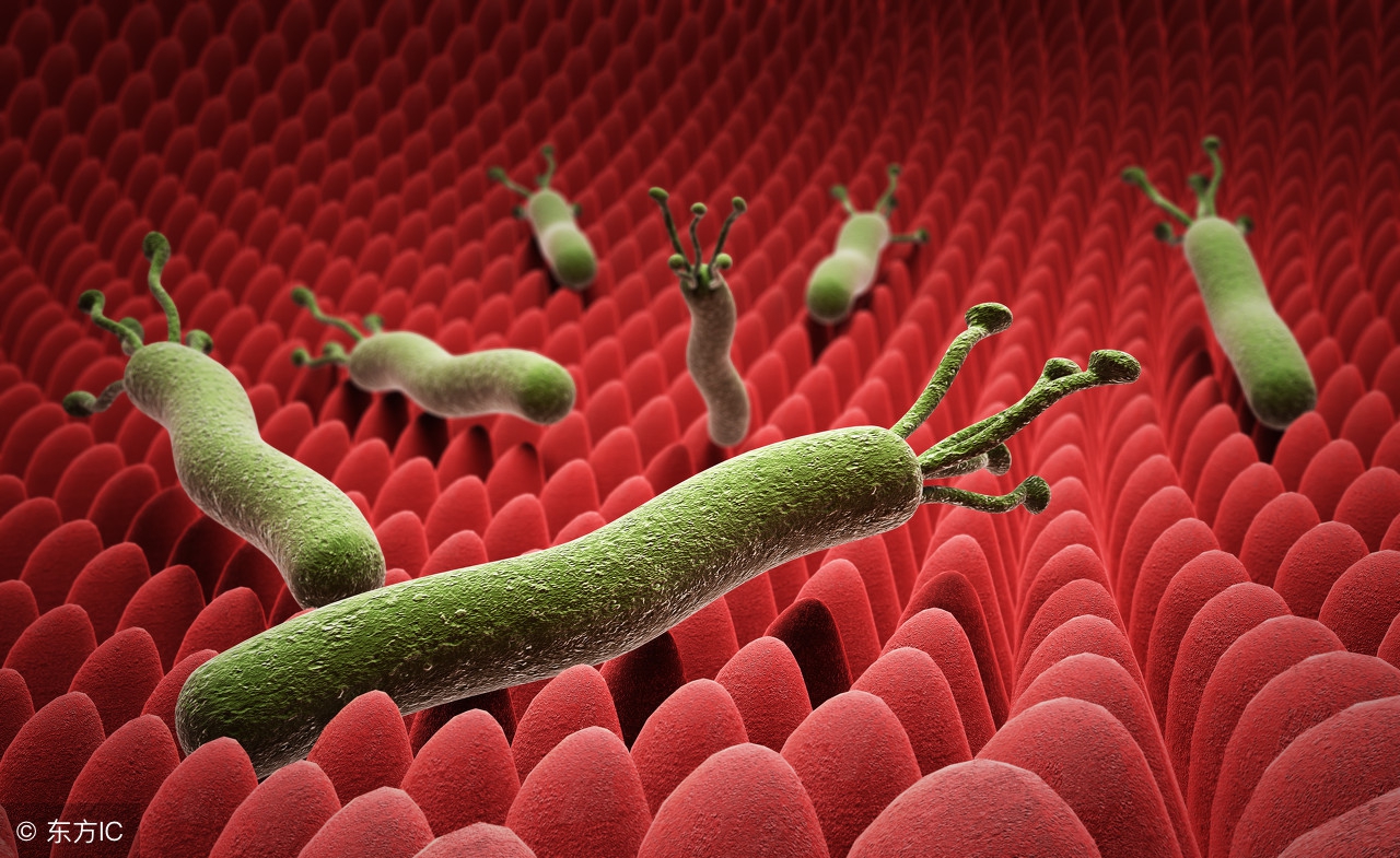 小孩突然不肯吃饭体重不达标,孩子突然不爱吃饭还瘦怎么回事