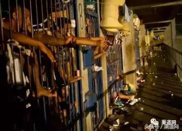 美国私营监狱有多赚钱,国外私人监狱怎么盈利