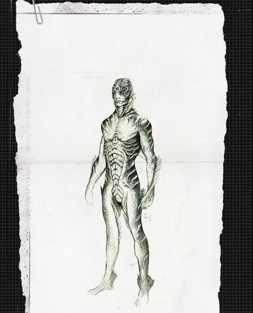 水形物语人物解析,水形物语人鱼