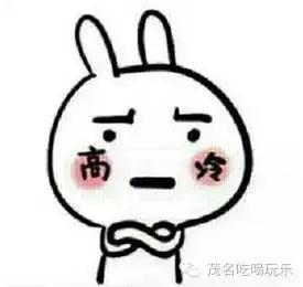 茂名小吃排行榜前十名,广东茂名舌尖上的美食