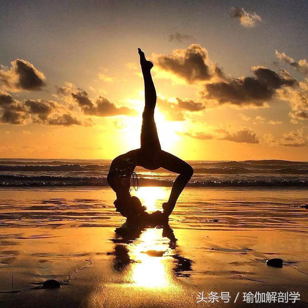 瑜伽真的是骗人的吗,瑜伽到底是不是骗人的