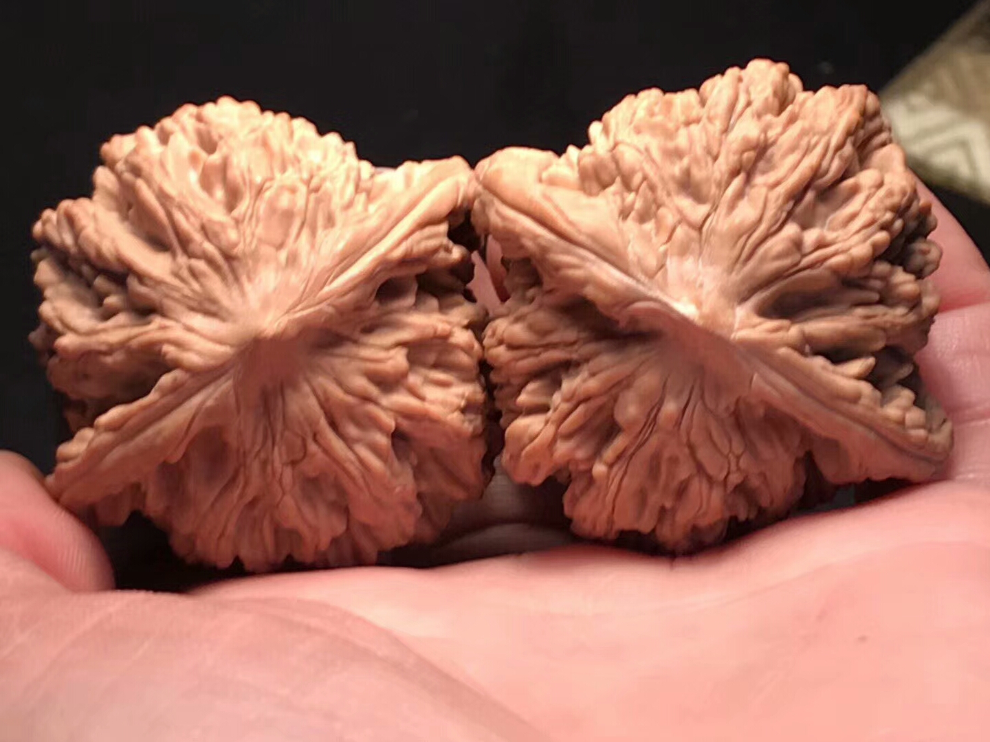 文玩核桃上油后变黄怎么办,文玩核桃上油发黑怎么处理