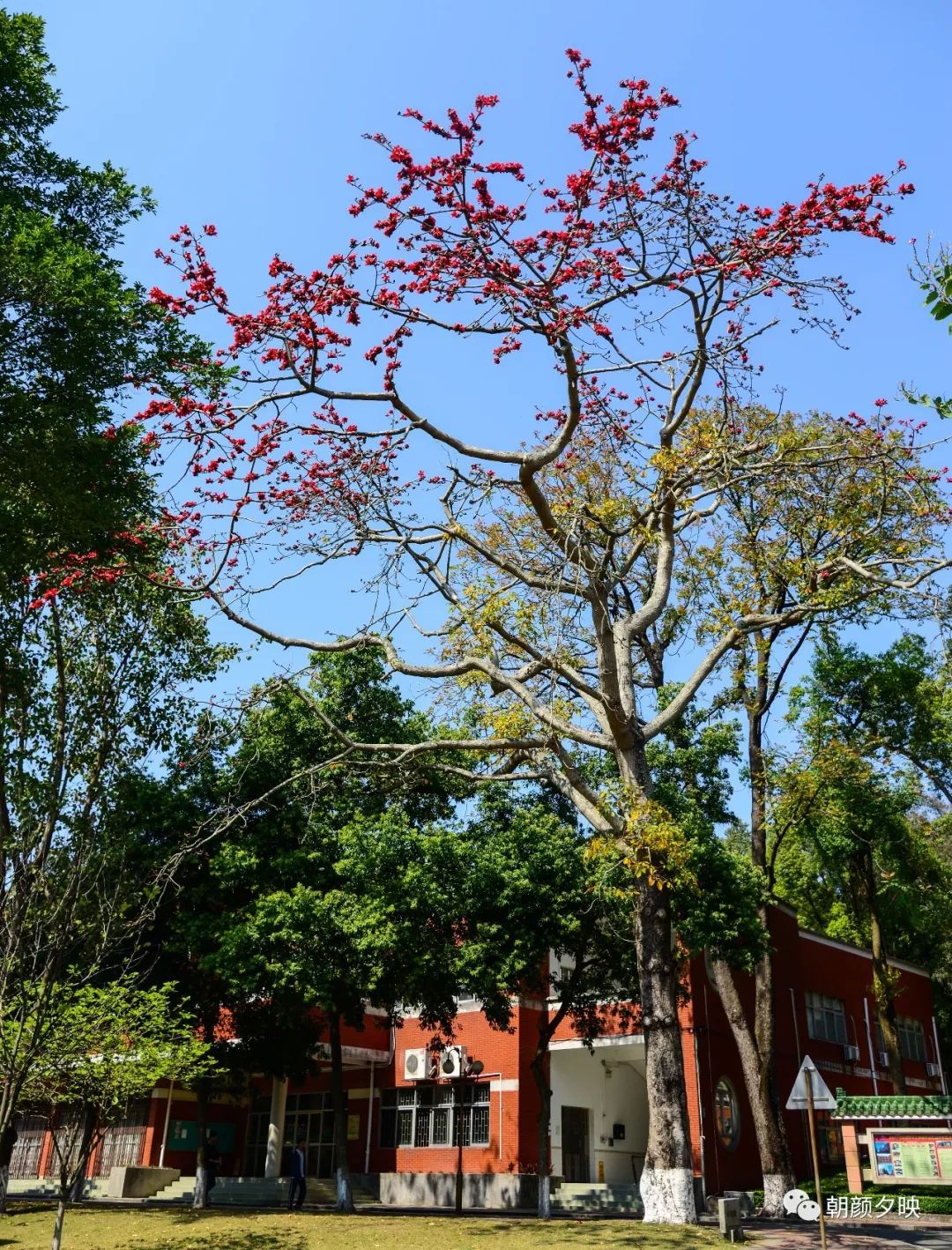中山纪念中学100周年校庆,中山纪念中学80周年校庆