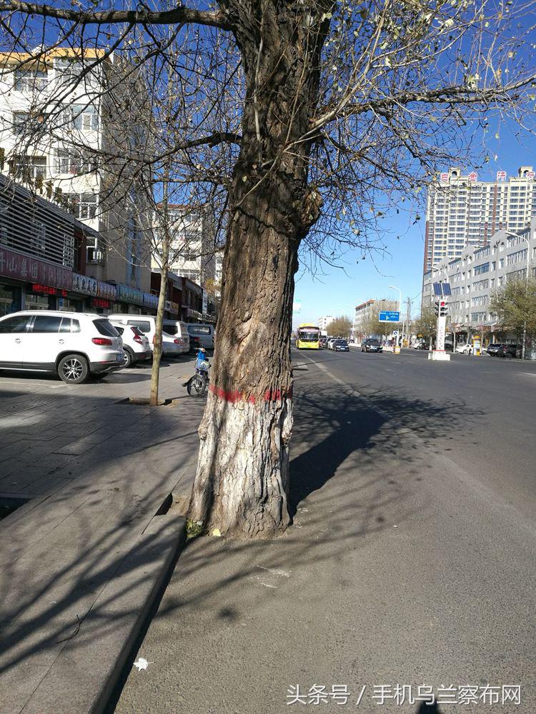 70年代的集宁,老集宁记忆