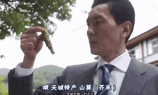 我们吃的芥末不是真正的芥末吗,买的芥末是真的芥末吗