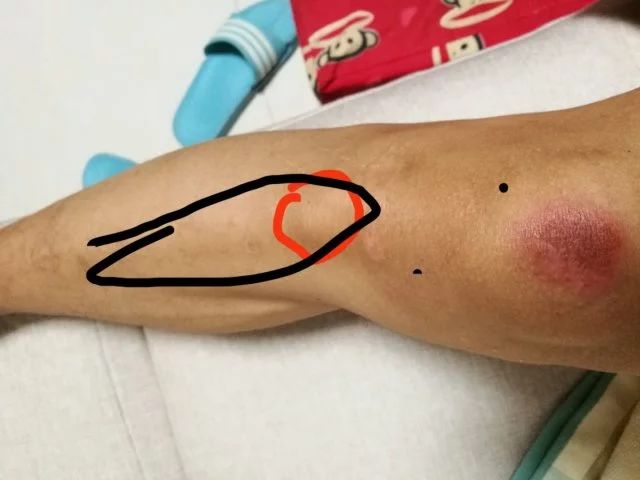 蔡赟毒舌解说,蔡赟说遗憾与警醒并存