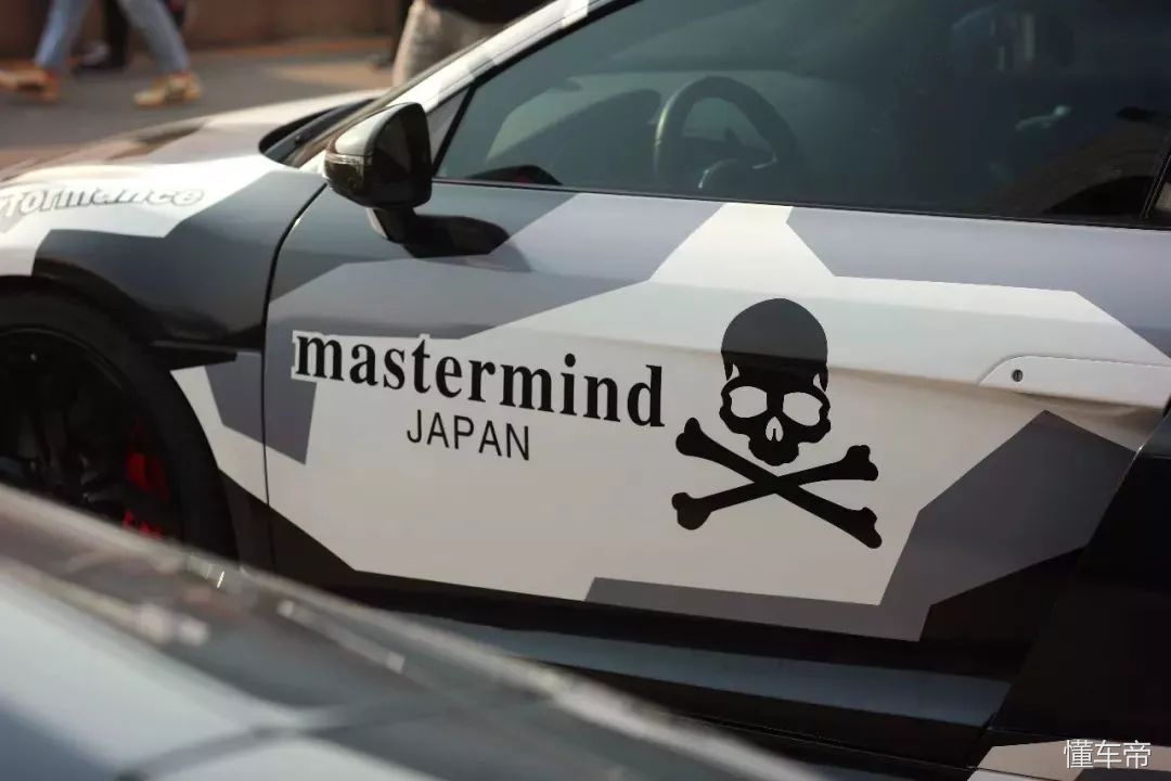 我和春天有个约会,我和春天有个约会阅读