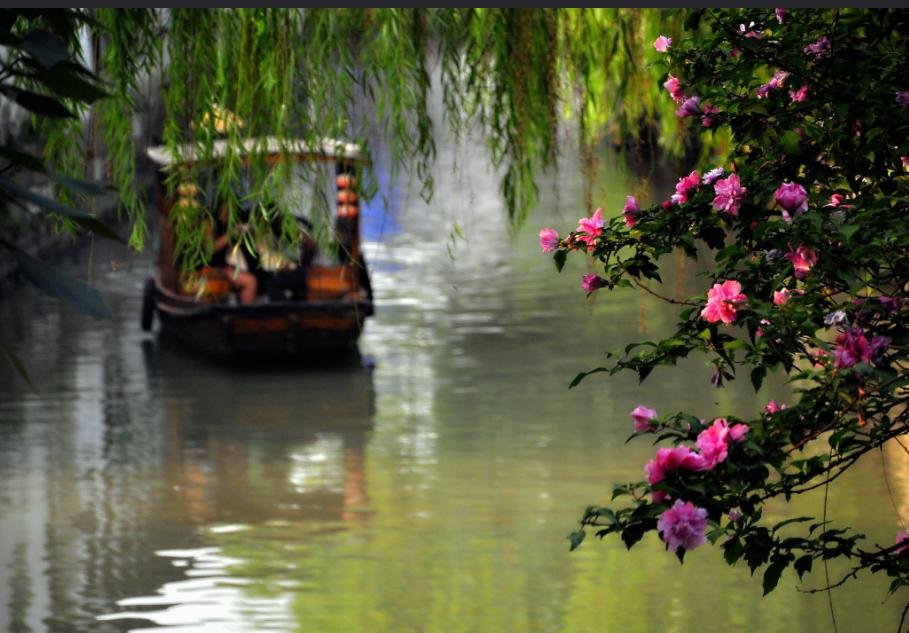 苏州姑苏区附近旅游攻略,旅游攻略苏州姑苏区