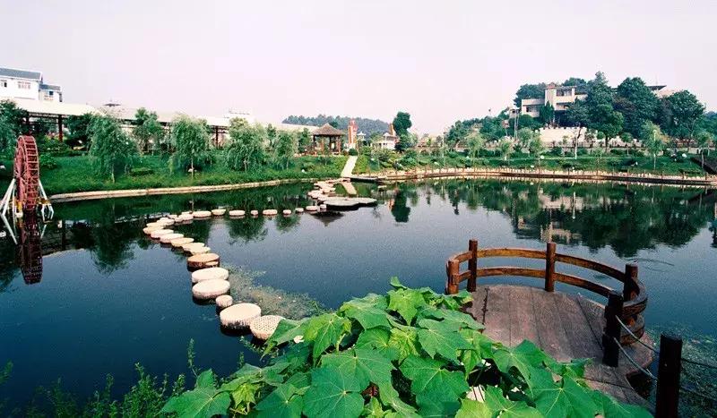 三年评先进,湖北表扬的10个县