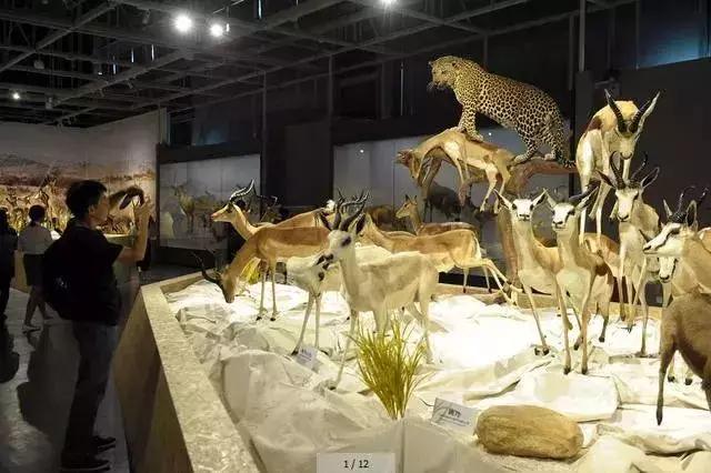 武汉未来5年的地标,2023年武汉将再添新地标