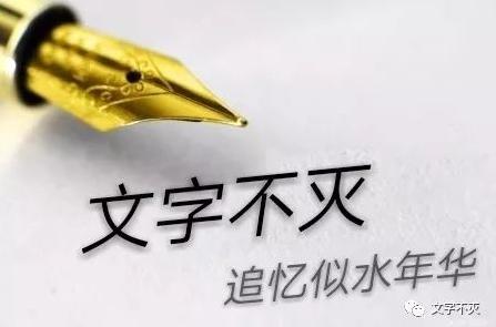 中兴v82小灵通手机,中兴小灵通2004年