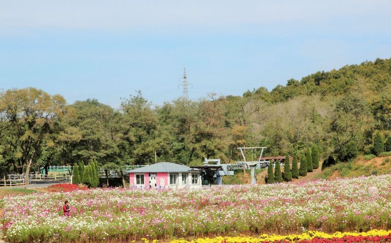 大连又好玩又拍照好看的地方,大连有什么拍照的好去处
