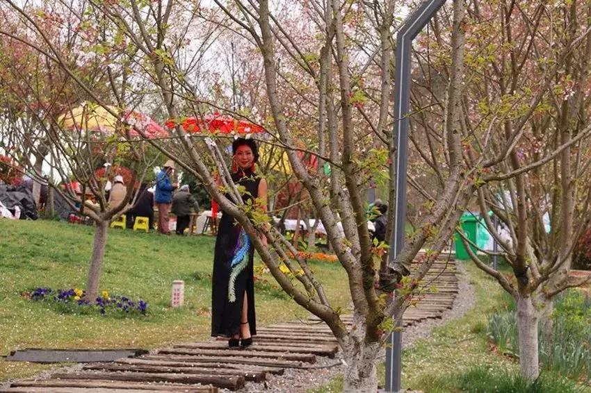 醉美赏花季,遵义醉美旅行