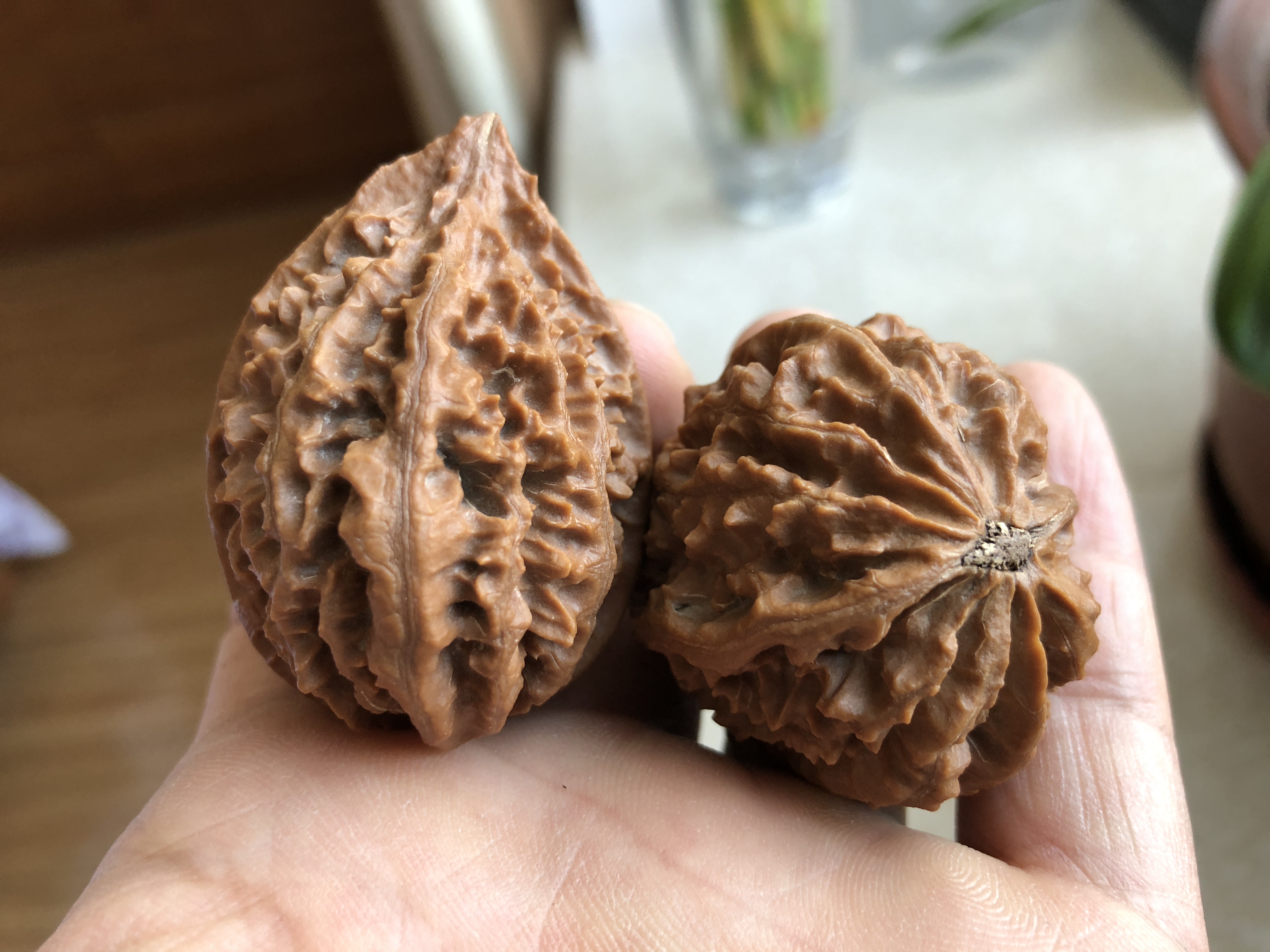 文玩核桃不小心磕掉尖或磕破纹肉就该扔掉吗?